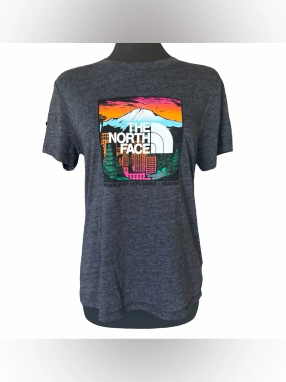 Rare The North Face Seattle Gray Graphic Tee S - Picture 2 of 5
